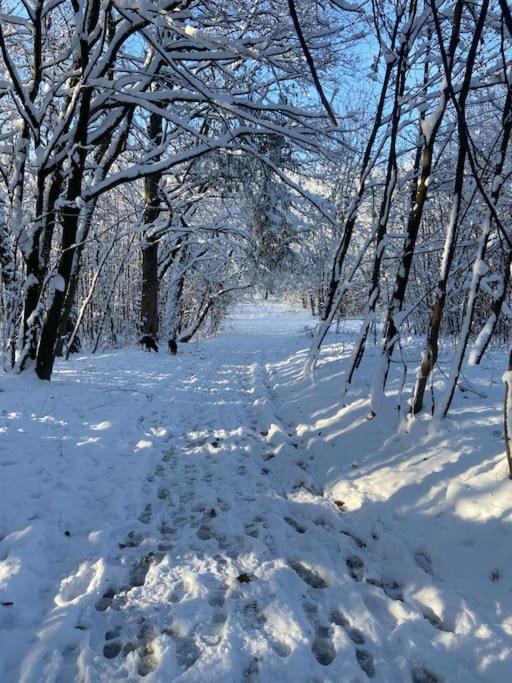 Chalupa Kokorinsko Mseno Bagian luar foto