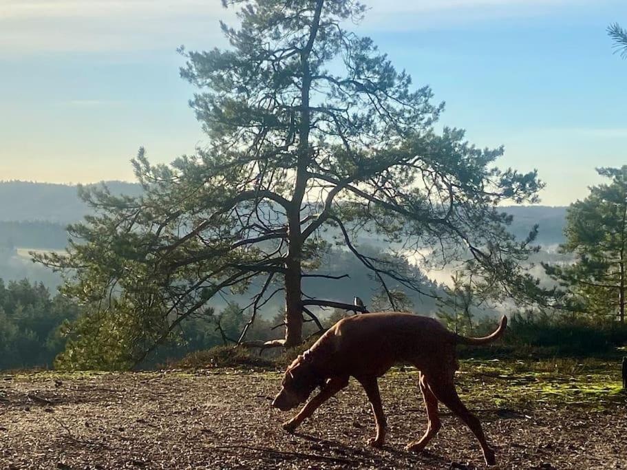 Chalupa Kokorinsko Mseno Bagian luar foto